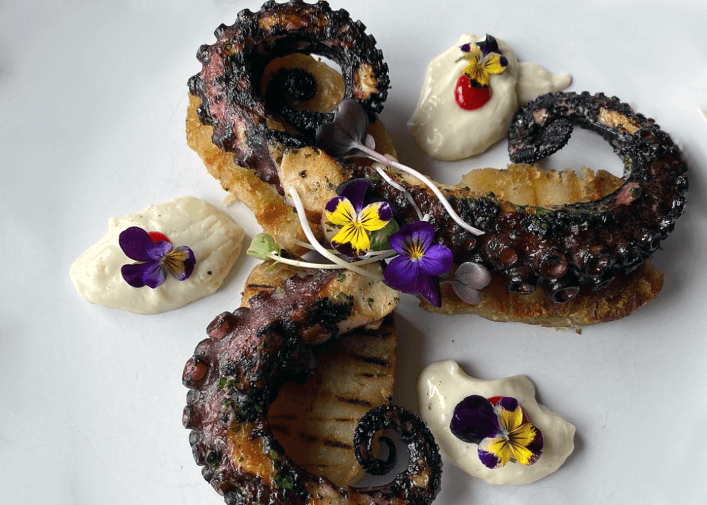 hanz_restaurant_plato_pulpo